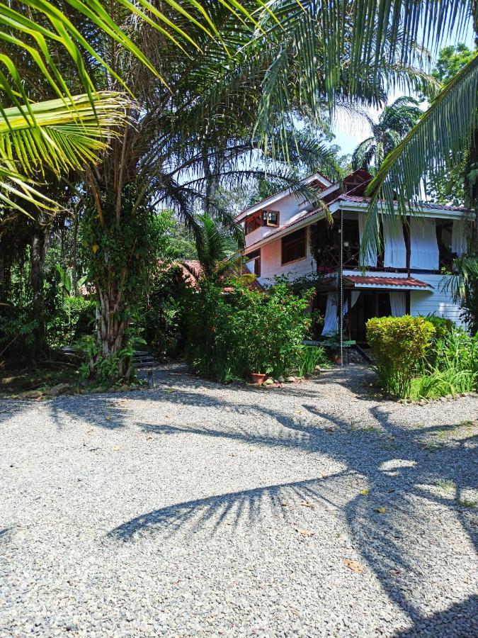 Ferienwohnung Chilamate Holiday House Puerto Viejo de Talamanca Exterior foto